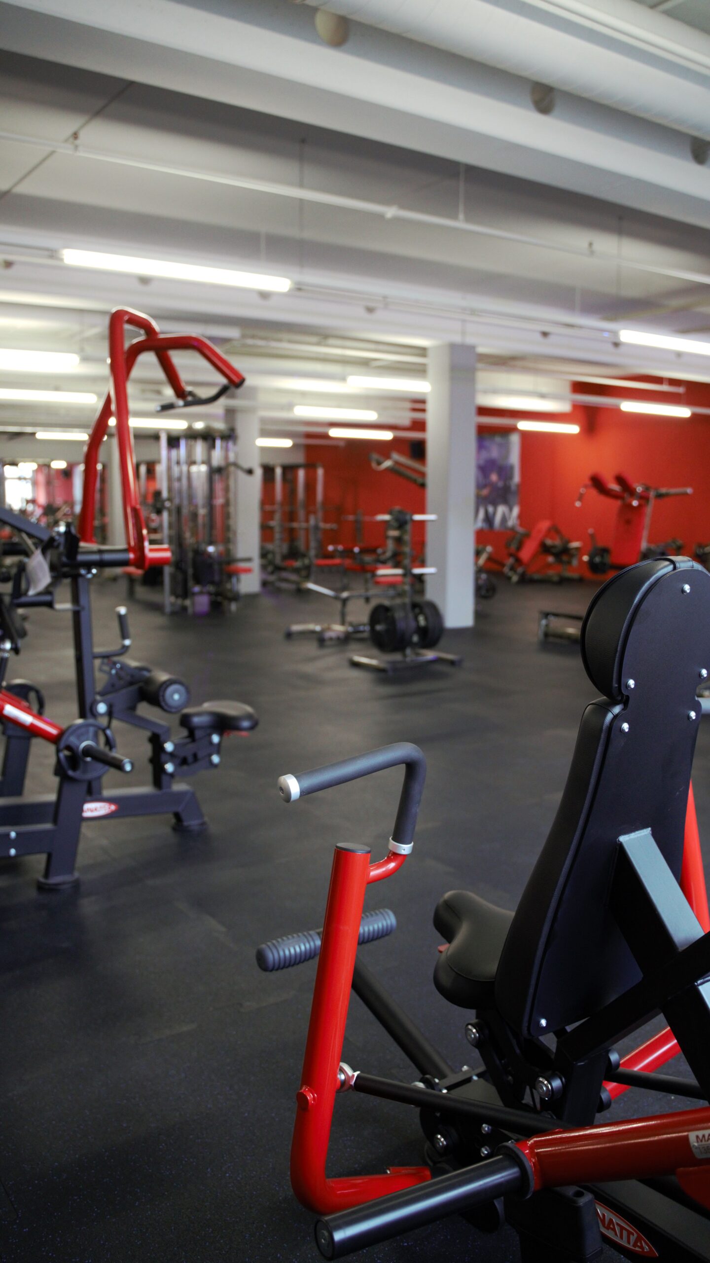 All Time Fitness Marienberg – Studioeinblick 5