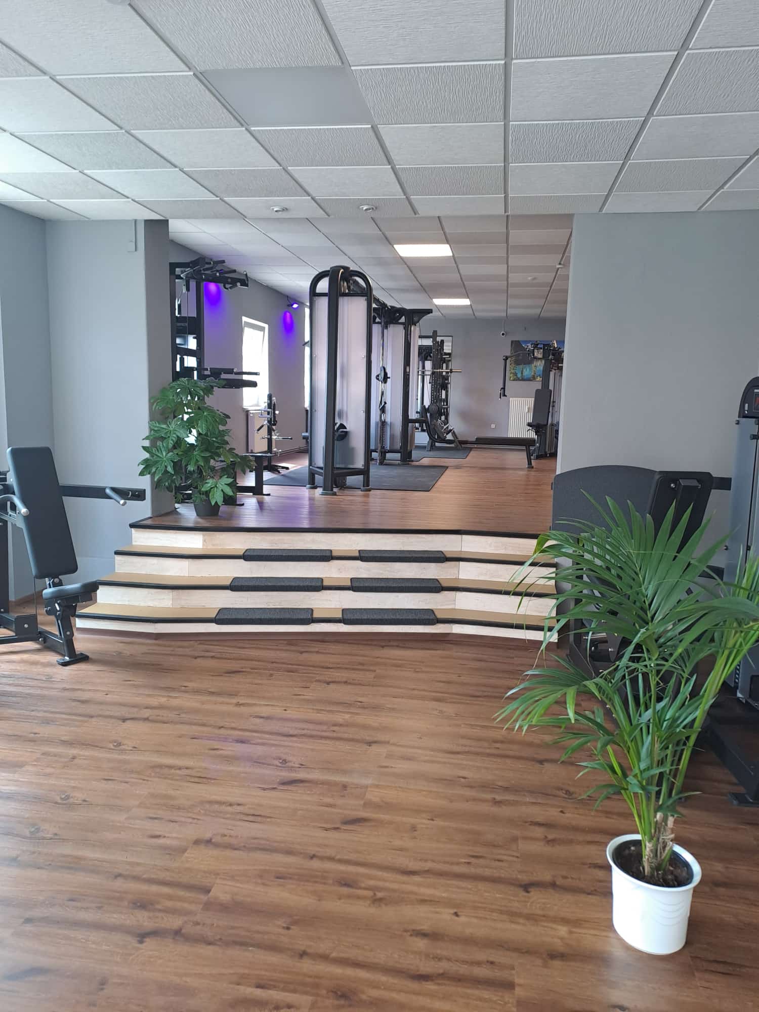 All Time Fitness Markneukirchen – Studioeinblick 5
