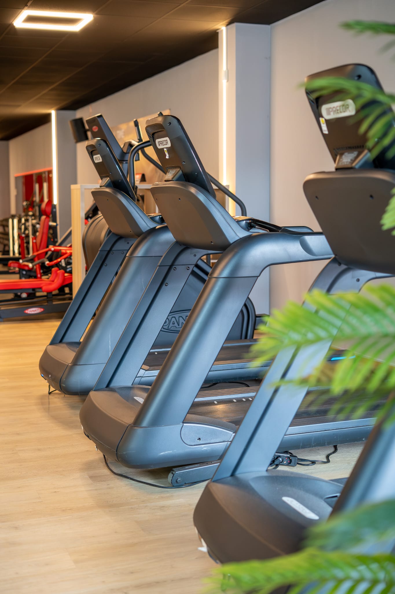 All Time Fitness Frankenberg – Studioeinblick 1