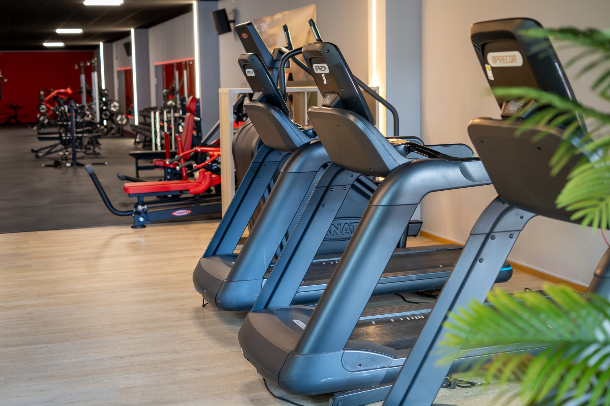 All Time Fitness Frankenberg – Studioeinblick 4