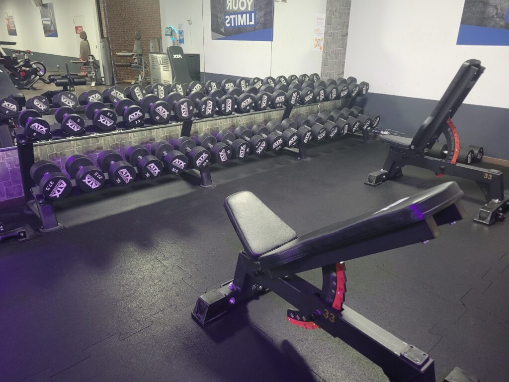 All Time Fitness Auerbach – Studioeinblick 2